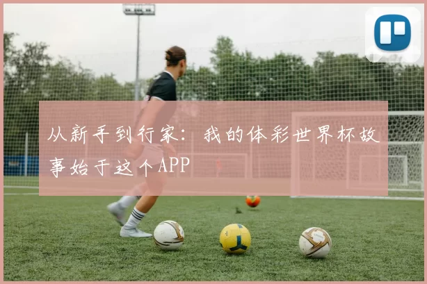 从新手到行家:我的体彩世界杯故事始于这个APP