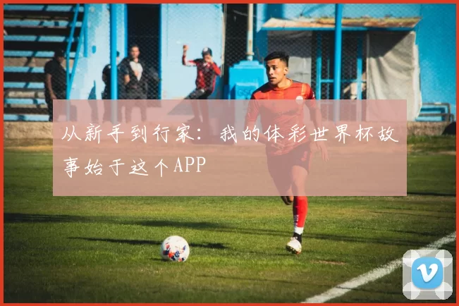 从新手到行家:我的体彩世界杯故事始于这个APP