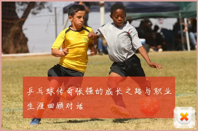 乒乓球传奇张强的成长之路与职业生涯回顾对话