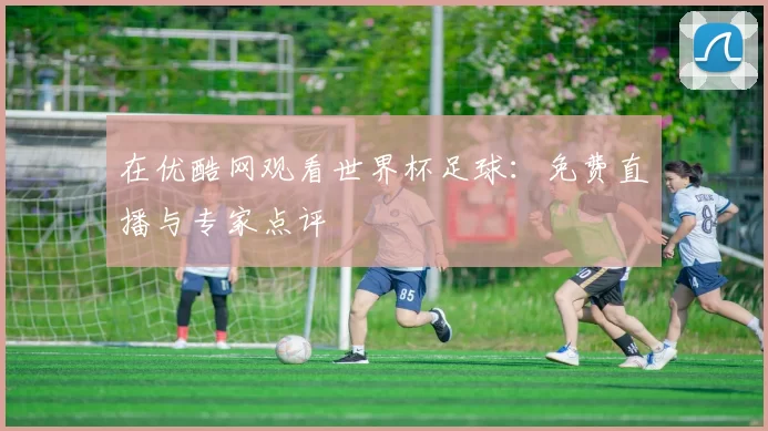 在优酷网观看世界杯足球:免费直播与专家点评