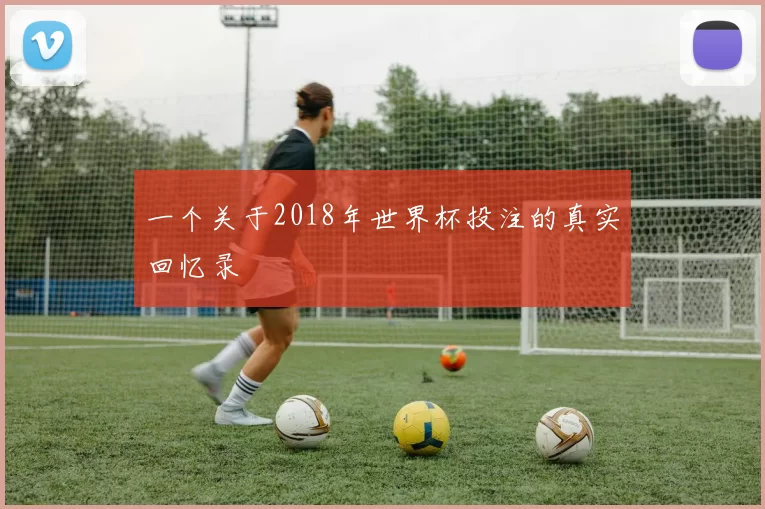 一个关于2018年世界杯投注的真实回忆录