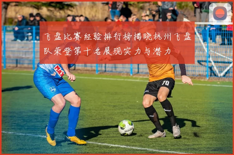 飞盘比赛经验排行榜揭晓杭州飞盘队荣登第十名展现实力与潜力