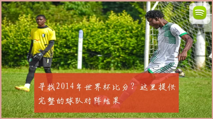 寻找2014年世界杯比分？这里提供完整的球队对阵结果