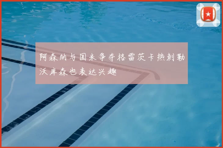 阿森纳与国米争夺格雷茨卡热刺勒沃库森也表达兴趣