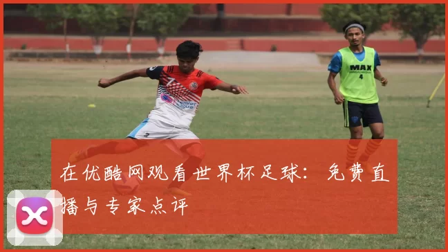 在优酷网观看世界杯足球：免费直播与专家点评
