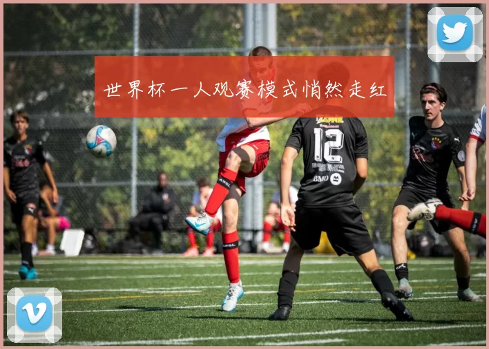 世界杯一人观赛模式悄然走红