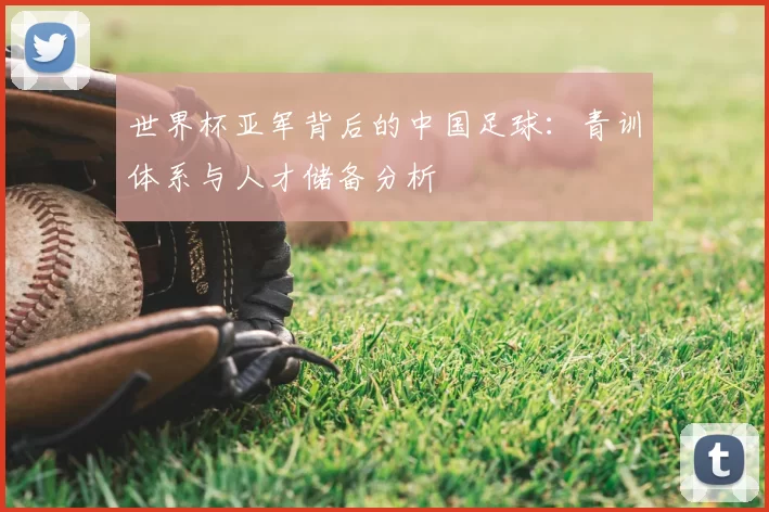 世界杯亚军背后的中国足球:青训体系与人才储备分析