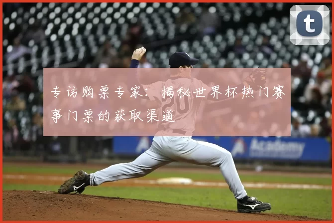 专访购票专家：揭秘世界杯热门赛事门票的获取渠道